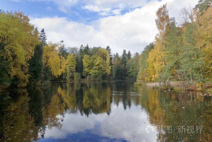 明亮的秋季木头倒映湖中，