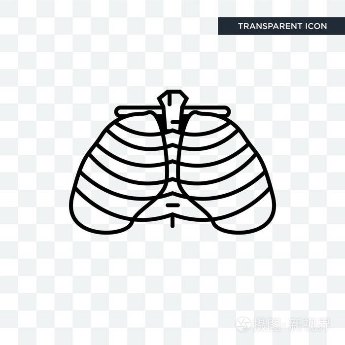人肋骨矢量图标隔离在透明的背景下, 人插画-正版商用图片0ag56p-摄图