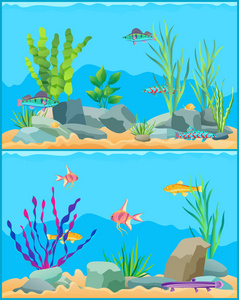 鱼水下景观设置向量例证