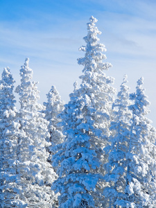 滑雪坡