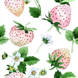 白色草莓果在水彩样式。无缝的背景图案。织物墙纸打印纹理。水彩画背景纹理包装图案或菜单的水果