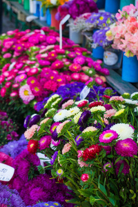 不同的秋花在中央市场出售花束与价格