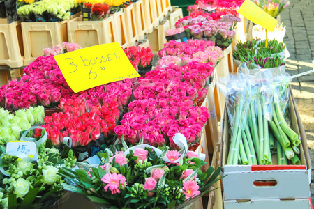 出售鲜花在荷兰花卉市场，荷兰