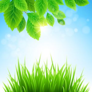 鲜艳的颜色,沿与芦苇植物的天然湖泊的抽象田园风光农田景观, 绿色