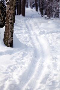 滑雪道