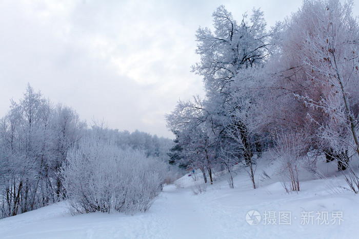 白雪皑皑的冬季风景