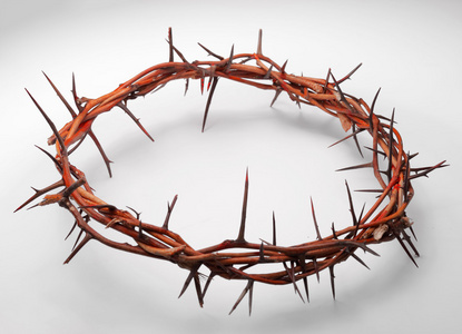 树枝荆棘编织成一顶王冠,描绘 cruc 的视图照片