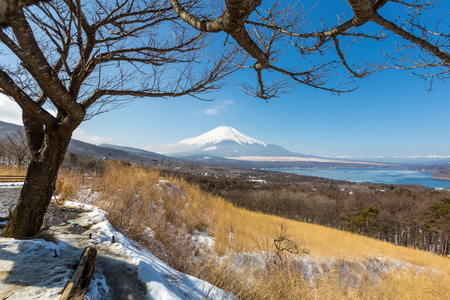 富士山在山中湖