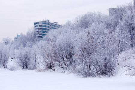 白雪皑皑的冬季风景图片