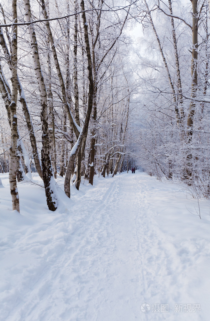 白雪皑皑的冬季风景照片-正版商用图片0agpxx-摄图新视界