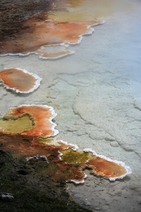浮游藻类和细菌层间歇泉