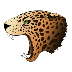 向量愤怒的豹子画像。捷豹捕食者头五颜六色被隔绝
