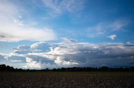 与树木, 田野和蓝色云天空黄昏。位置 德国, 北部莱茵河西华里亚