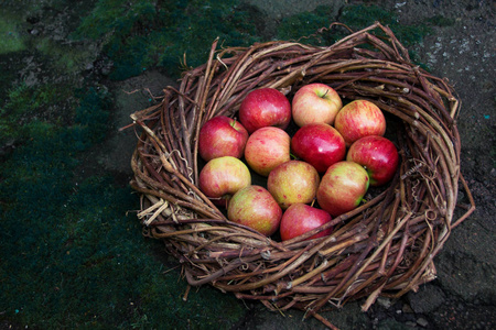 混凝土上的鸟巢里的新鲜苹果
