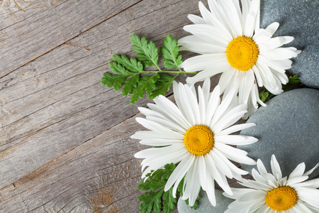 组成洋甘菊图片-组成洋甘菊素材-组成洋甘菊插画-摄图新视界