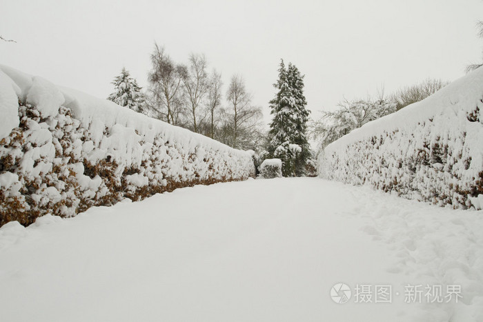 路径覆盖在雪里