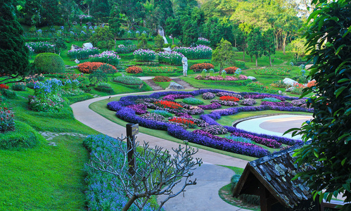 花卉园图片