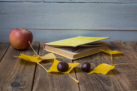 一本书苹果黄色叶子板栗木背景