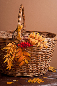 秋天的 rowanberry 和篮子