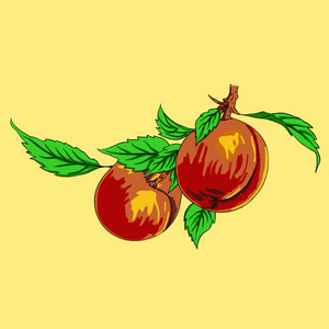 红军图两个桃子用光背景上树枝上的叶子照片