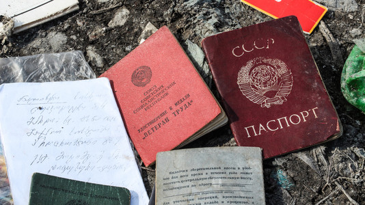 前苏联的护照图片
