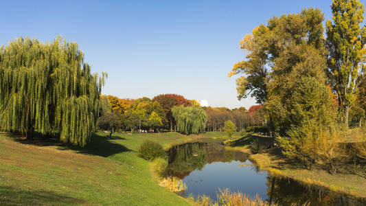 美丽的秋天的颜色反射出一个池塘。秋园