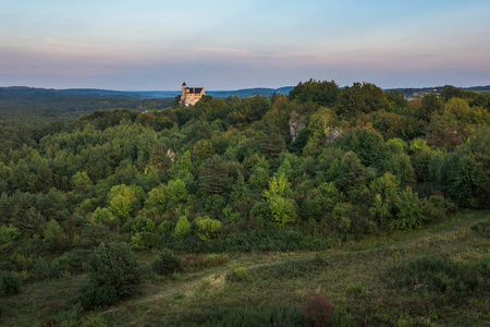 中世纪城堡在村庄 Bobolice 在 KrakowskoCzestochowska, 西里西亚, 波兰