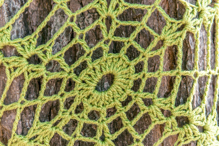 绿色针织蜘蛛网在树身上, 伯乐