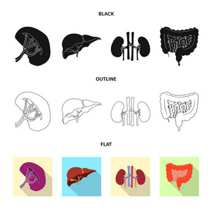 人体和人体图标的矢量设计。身体和医学股票向量例证的汇集