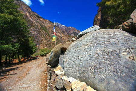 在尼泊尔的远足径的视图