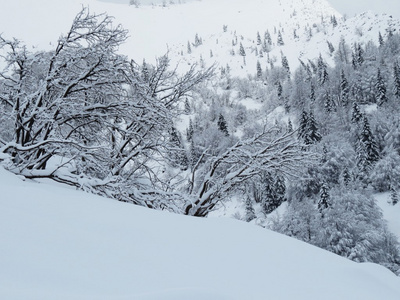 雪和山