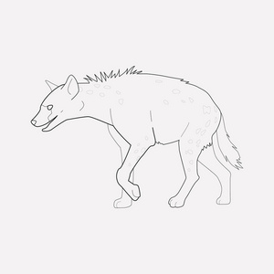 在干净的背景下隔离的鬣狗图标线的矢量插图为您的 web 移动应用程序