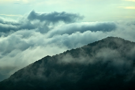 山中雾图片