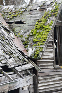 旧青苔覆盖毁的屋顶