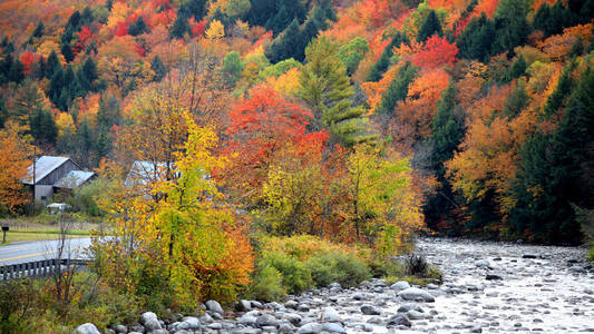佛蒙特州河边的秋树