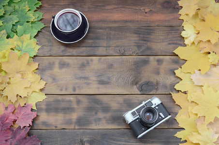 一杯茶和一台旧相机之间的一组黄色的秋天落叶在自然木板的背景表面深褐色的颜色