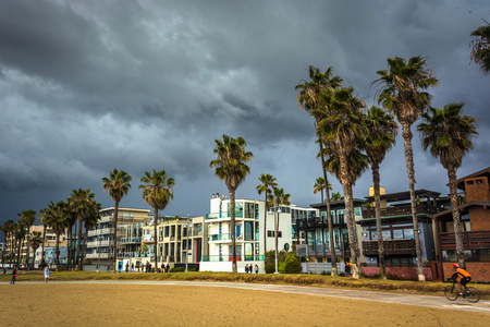棕榈树木和房屋沿着海滩，在威尼斯海滩的洛杉矶 Ange