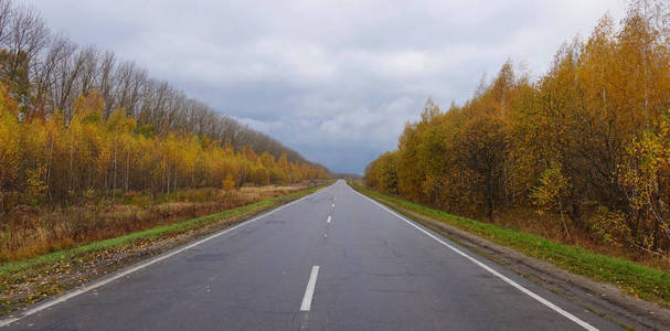 有高速公路的风景