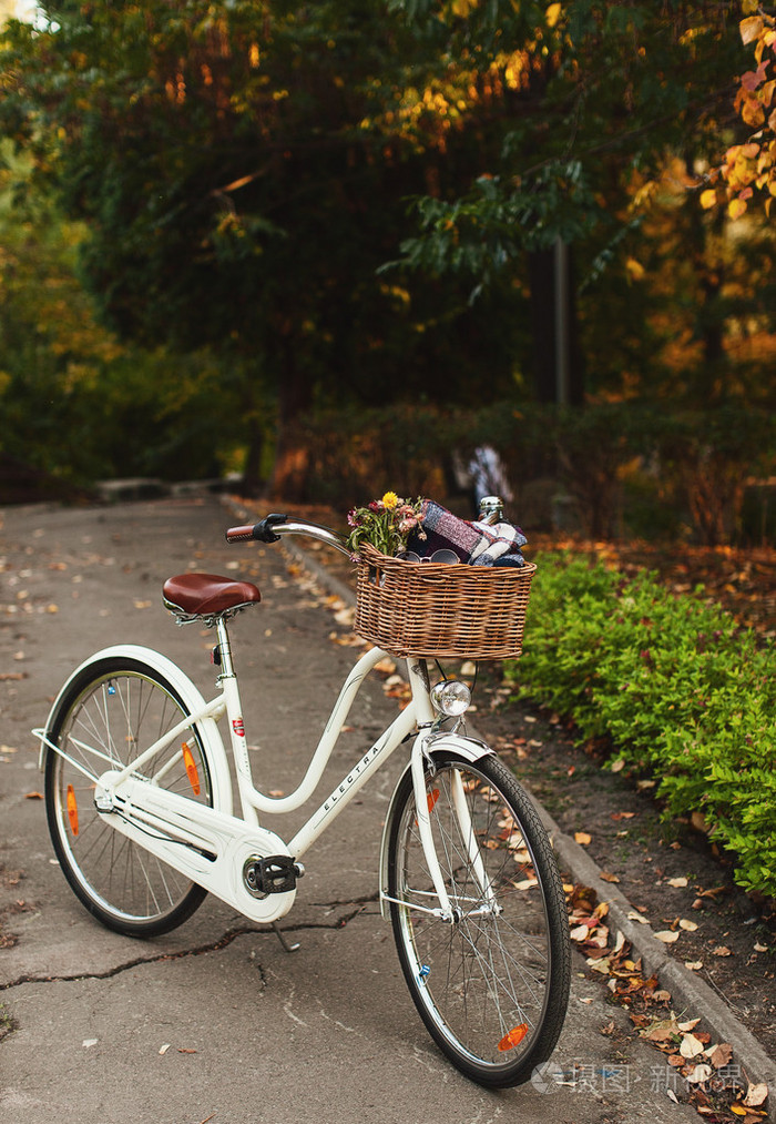 在公园的复古自行车