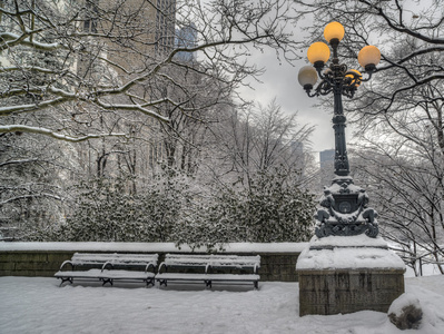 中央公园后暴风雪图片
