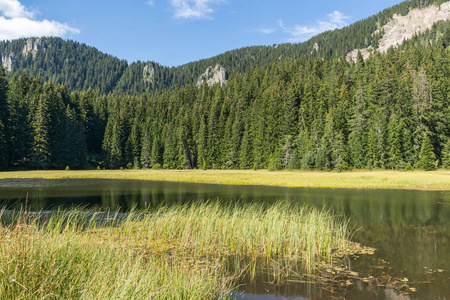 保加利亚斯莫梁地区 Rhodope 山草 Trevistoto 斯莫梁湖的惊人景观