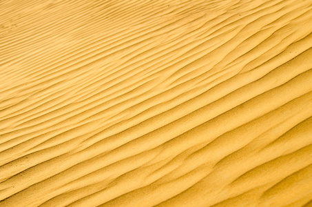 在黄金沙漠砂纹理
