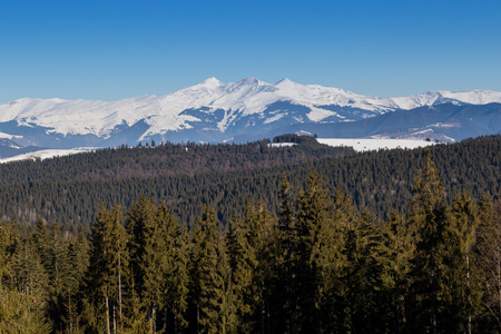 山风景