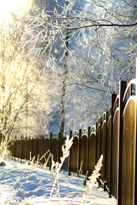 栅栏积雪覆盖的冬季公园图片