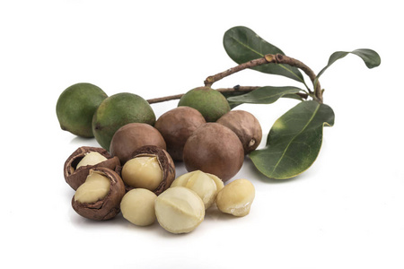 macadamia noten gesoleerd op witte achtergrond