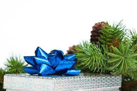 圣诞礼品盒与树的分支