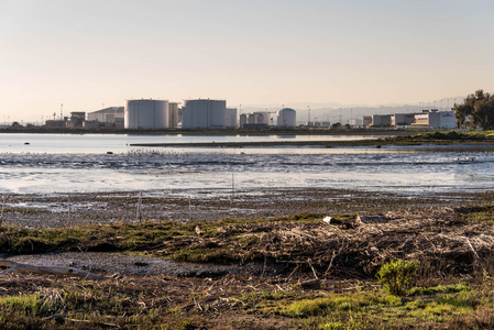 跨 San Francisco 湾湿地海景