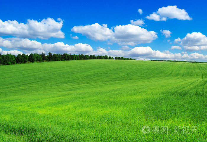 绿色的原野和蓝蓝的天空