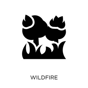 野火图标。天气收集中的野火符号设计。简单的元素向量例证在白色背景
