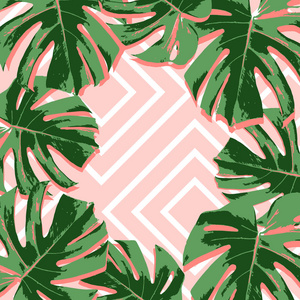 热带夏季粉红色流行背景与叶子棕榈